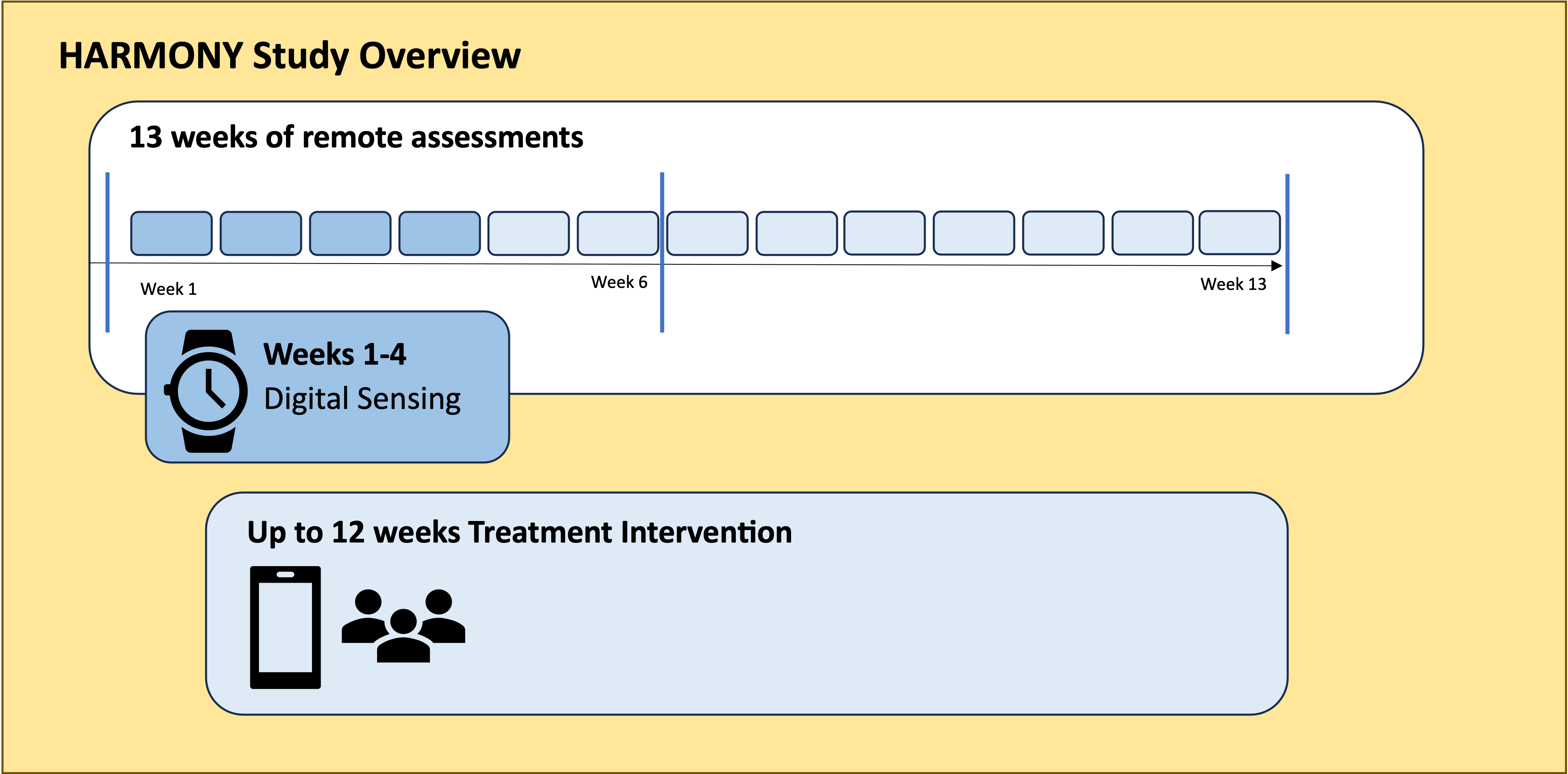 Study overview